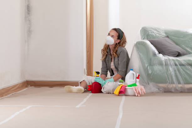 Reliable Mold Remediation contractor in Lawrence, MA by Mold Remediation HQ